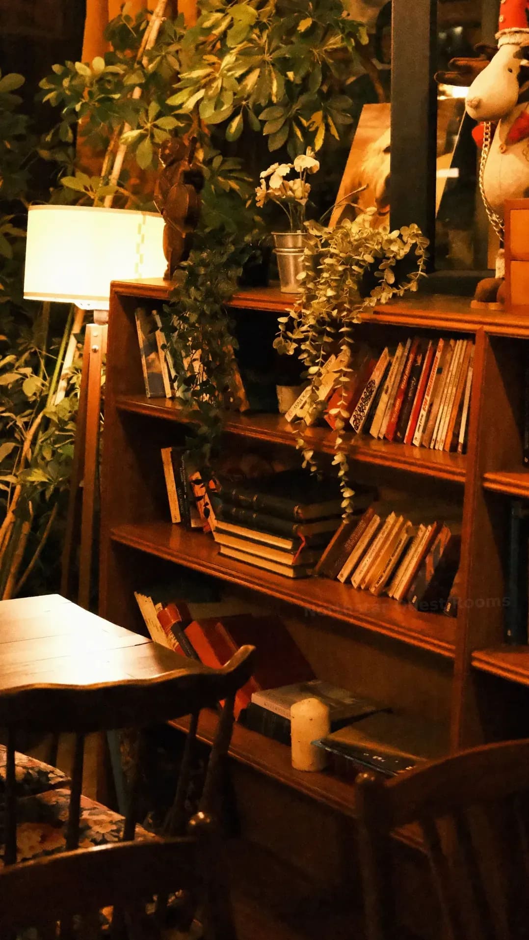 School and youth group experiences